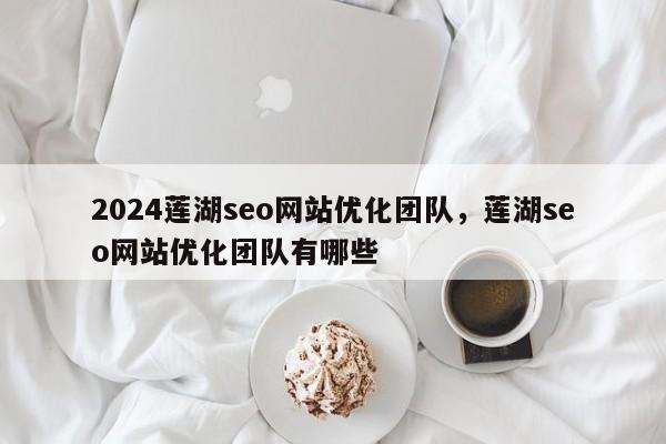 2024莲湖seo网站优化团队，莲湖seo网站优化团队有哪些