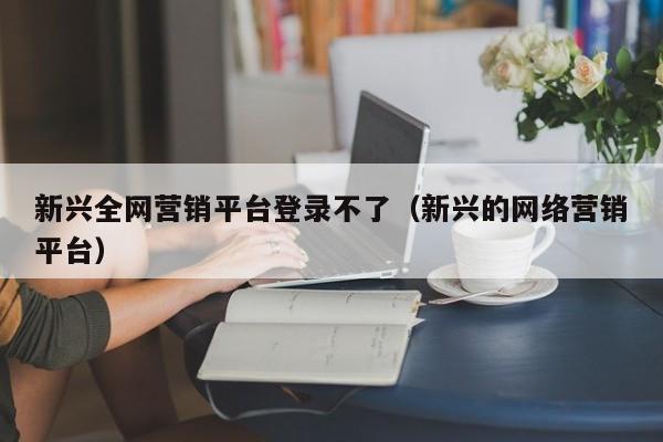 新兴全网营销平台登录不了（新兴的网络营销平台）