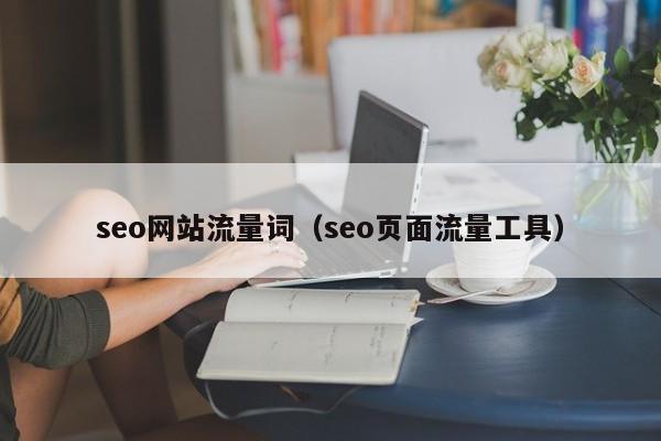 seo网站流量词（seo页面流量工具）