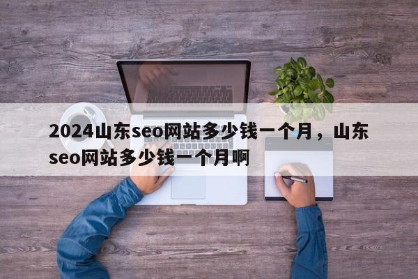 2024山东seo网站多少钱一个月，山东seo网站多少钱一个月啊