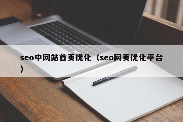 seo中网站首页优化（seo网页优化平台）