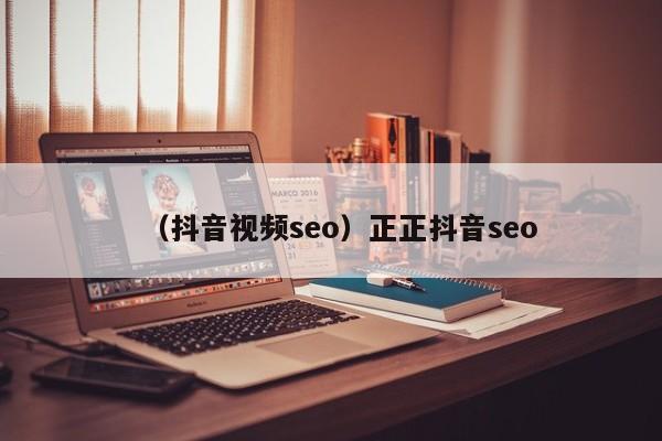 （抖音视频seo）正正抖音seo