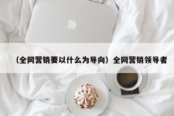 （全网营销要以什么为导向）全网营销领导者