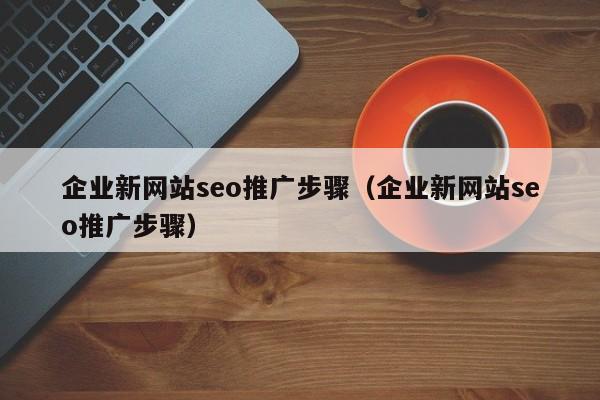 企业新网站seo推广步骤（企业新网站seo推广步骤）