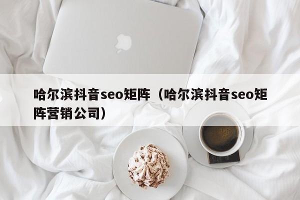 哈尔滨抖音seo矩阵（哈尔滨抖音seo矩阵营销公司）