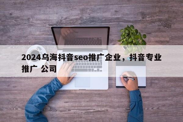 2024乌海抖音seo推广企业，抖音专业推广 公司