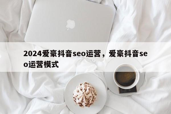 2024爱豪抖音seo运营，爱豪抖音seo运营模式