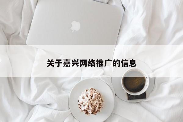 关于嘉兴网络推广的信息