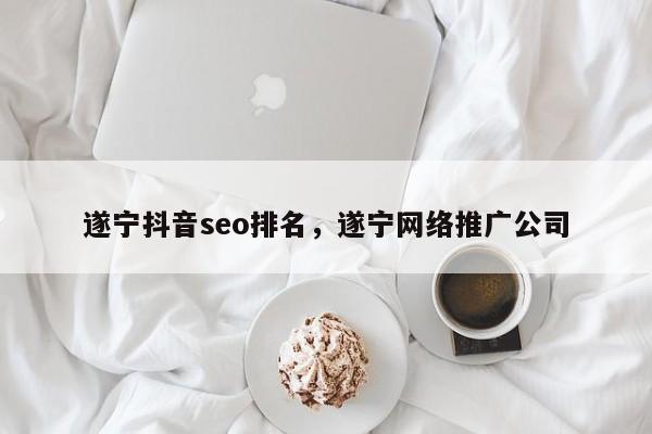 遂宁抖音seo排名，遂宁网络推广公司