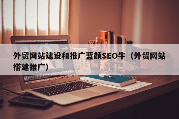 外贸网站建设和推广蓝颜SEO牛（外贸网站搭建推广）