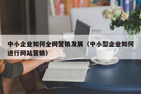 中小企业如何全网营销发展（中小型企业如何进行网站营销）