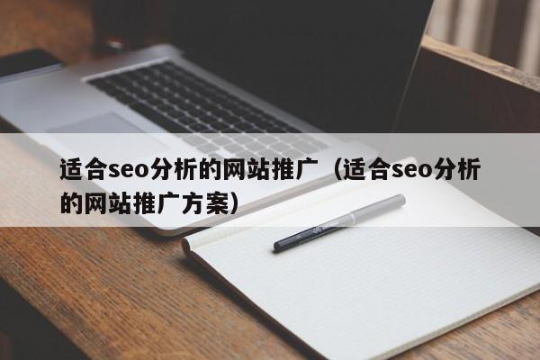 适合seo分析的网站推广（适合seo分析的网站推广方案）