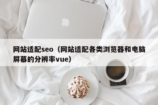 网站适配seo（网站适配各类浏览器和电脑屏幕的分辨率vue）