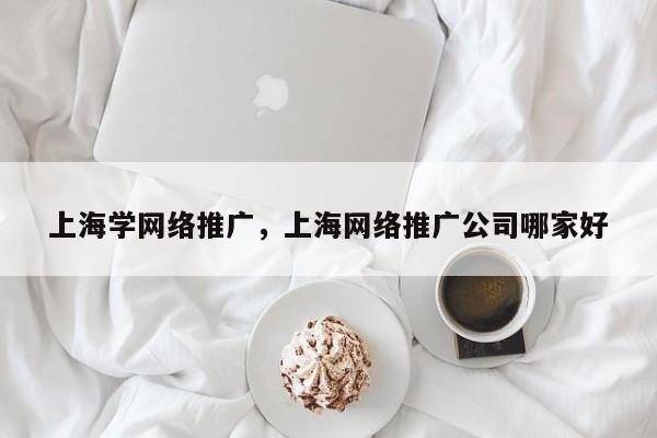 上海学网络推广，上海网络推广公司哪家好