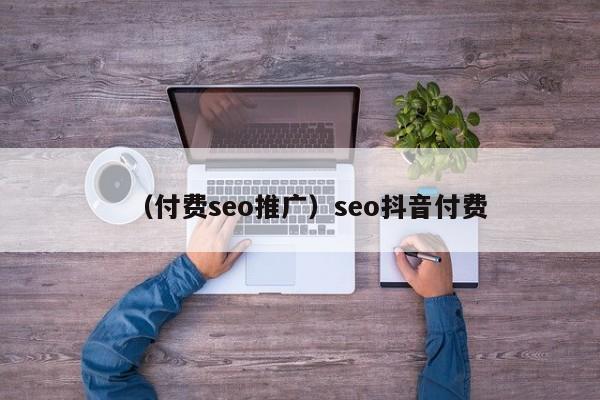 （付费seo推广）seo抖音付费