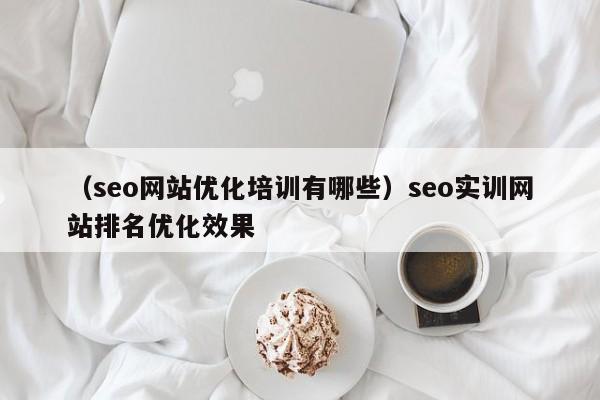 （seo网站优化培训有哪些）seo实训网站排名优化效果