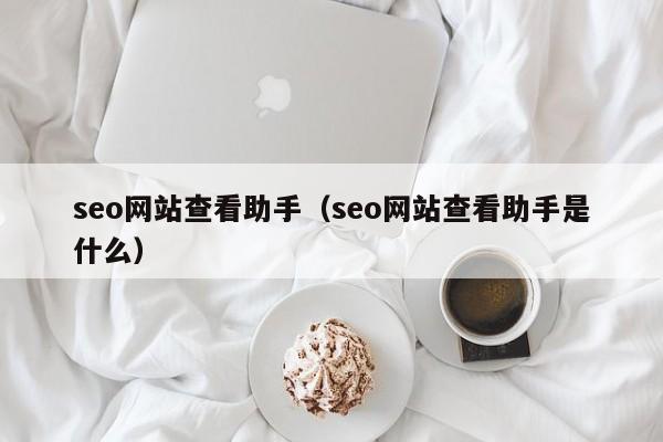 seo网站查看助手（seo网站查看助手是什么）