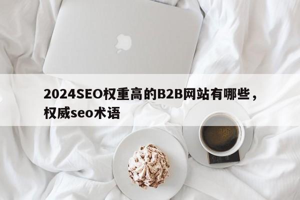 2024SEO权重高的B2B网站有哪些，权威seo术语