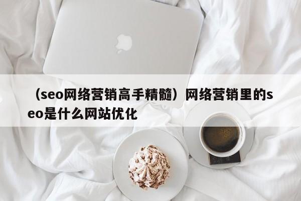 （seo网络营销高手精髓）网络营销里的seo是什么网站优化