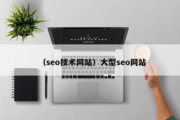 （seo技术网站）大型seo网站