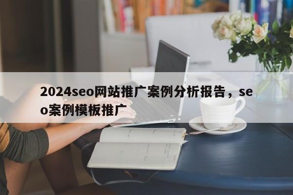 2024seo网站推广案例分析报告，seo案例模板推广