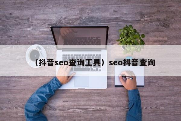 （抖音seo查询工具）seo抖音查询