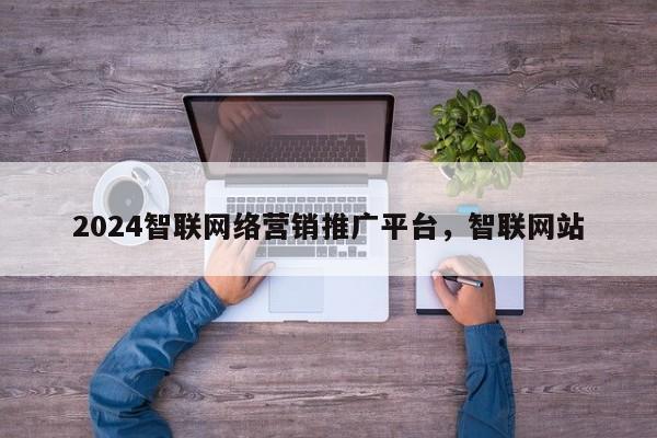 2024智联网络营销推广平台，智联网站