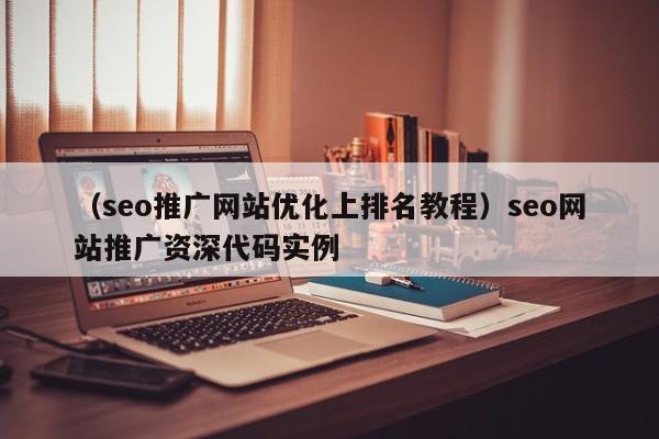 （seo推广网站优化上排名教程）seo网站推广资深代码实例