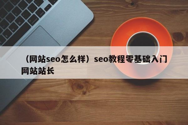 （网站seo怎么样）seo教程零基础入门网站站长