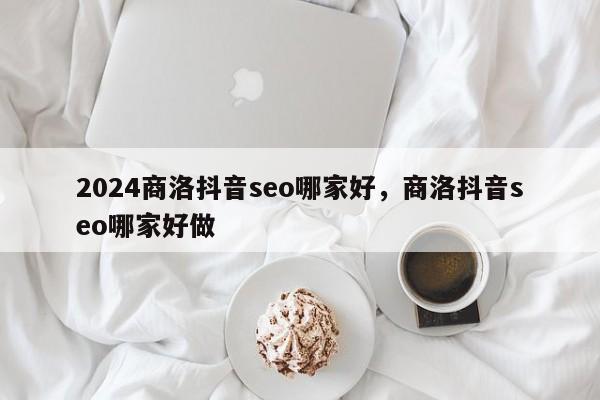 2024商洛抖音seo哪家好，商洛抖音seo哪家好做