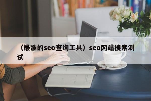 （最准的seo查询工具）seo网站搜索测试