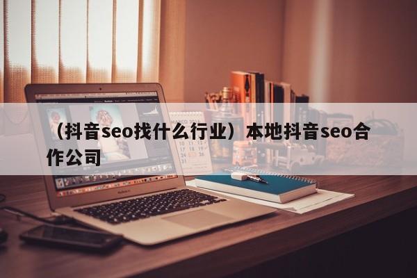 （抖音seo找什么行业）本地抖音seo合作公司