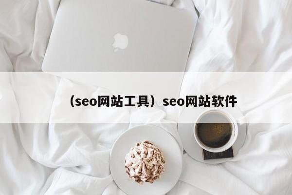 （seo网站工具）seo网站软件