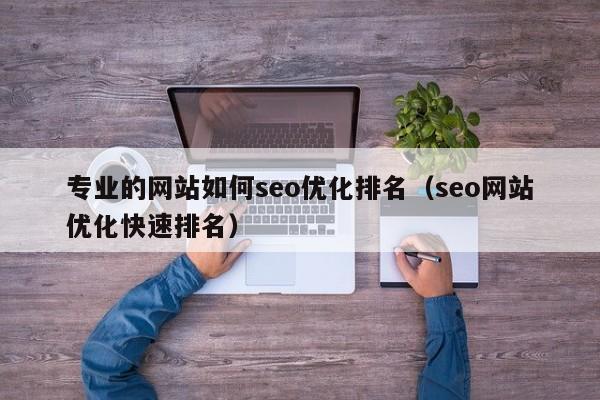 专业的网站如何seo优化排名（seo网站优化快速排名）