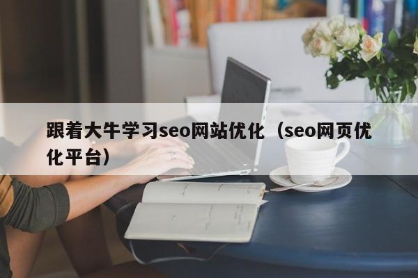 跟着大牛学习seo网站优化（seo网页优化平台）