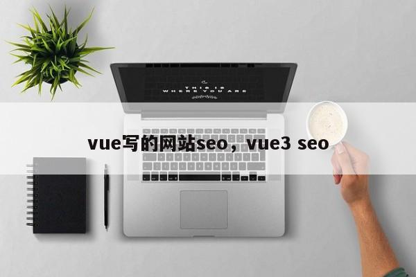 vue写的网站seo，vue3 seo