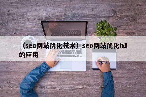 （seo网站优化技术）seo网站优化h1的应用