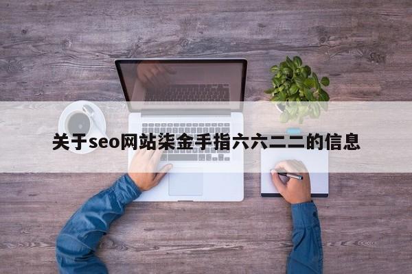 关于seo网站柒金手指六六二二的信息