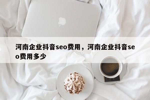 河南企业抖音seo费用，河南企业抖音seo费用多少