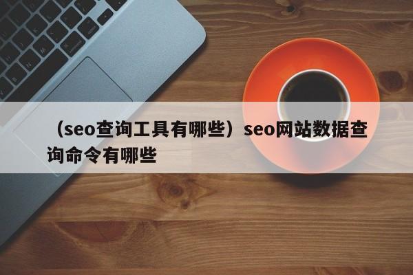 （seo查询工具有哪些）seo网站数据查询命令有哪些