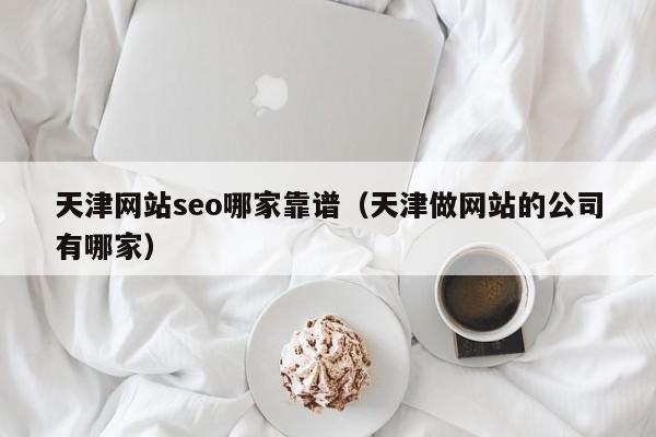 天津网站seo哪家靠谱（天津做网站的公司有哪家）