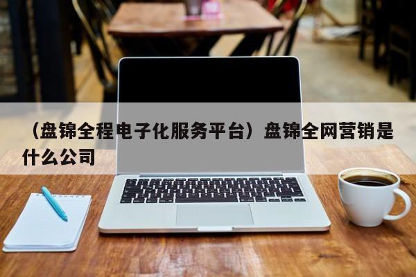 （盘锦全程电子化服务平台）盘锦全网营销是什么公司