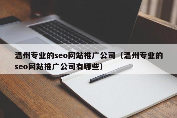 温州专业的seo网站推广公司（温州专业的seo网站推广公司有哪些）