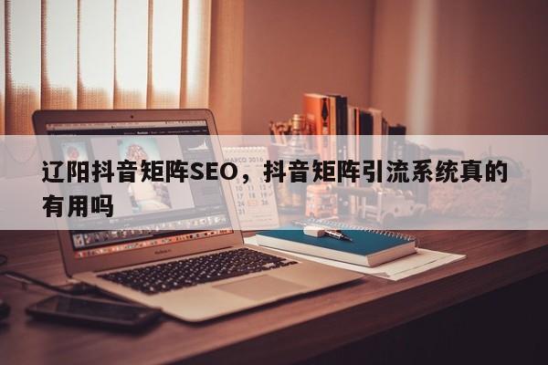 辽阳抖音矩阵SEO，抖音矩阵引流系统真的有用吗