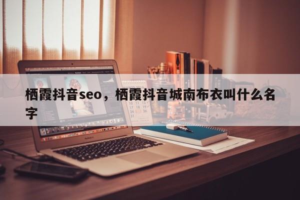 栖霞抖音seo，栖霞抖音城南布衣叫什么名字