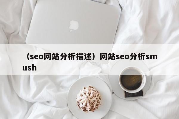 （seo网站分析描述）网站seo分析smush