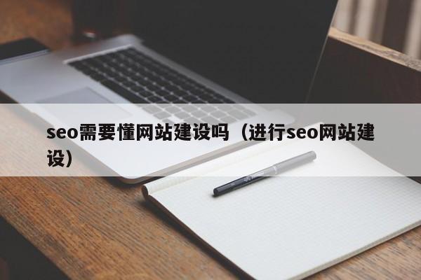 seo需要懂网站建设吗（进行seo网站建设）