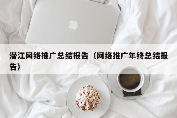 潜江网络推广总结报告（网络推广年终总结报告）