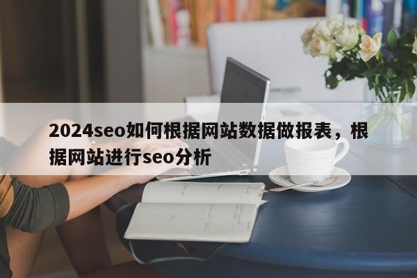 2024seo如何根据网站数据做报表，根据网站进行seo分析