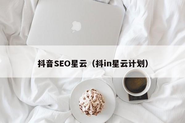 抖音SEO星云（抖in星云计划）